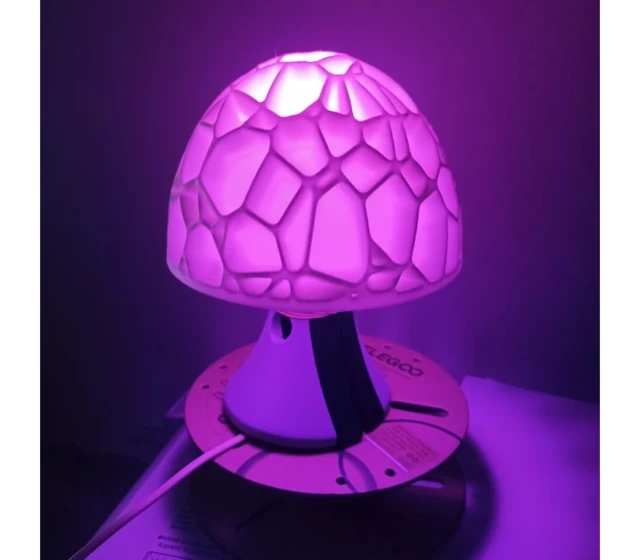 Zdroj: Medvjed.store