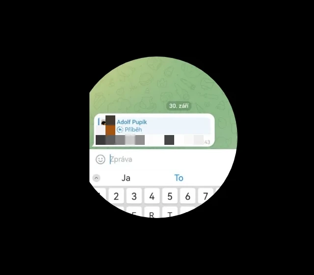 Zvětšená fotka ze soukromé konverzace